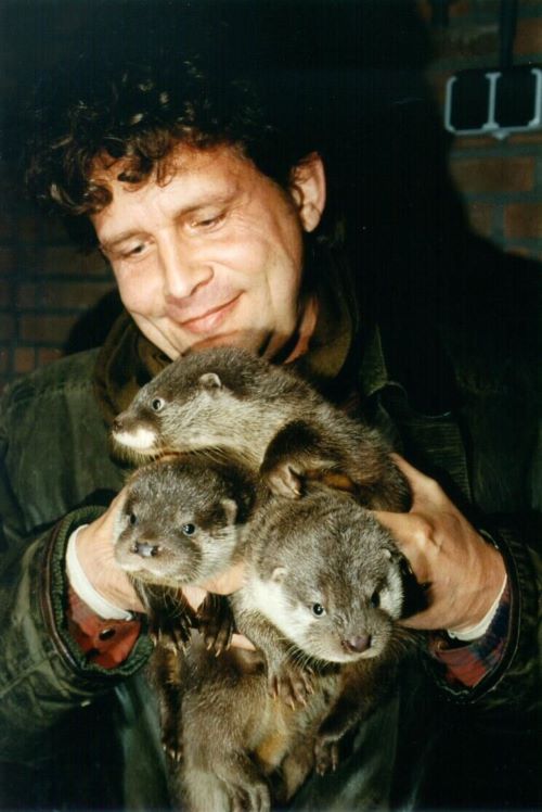 otters