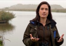 Boswachters willen nu actie voor natuur in onze regio: ‘Biodiversiteit holt achteruit’