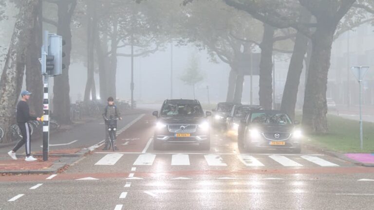 Donderdagmorgen veel mist in regio