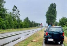 Het reeënseizoen is begonnen: dit moet je doen bij een aanrijding