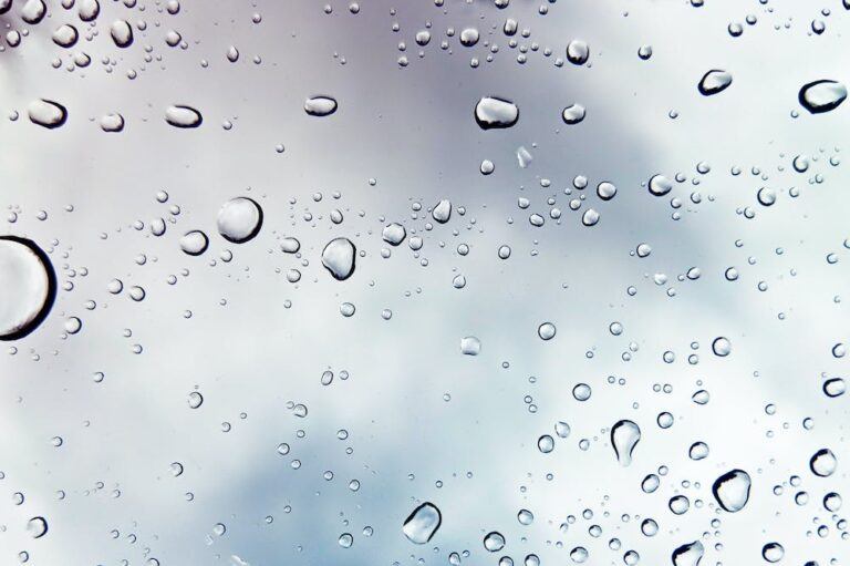 Weersverwachting november 2023: Regenachtig en winderig