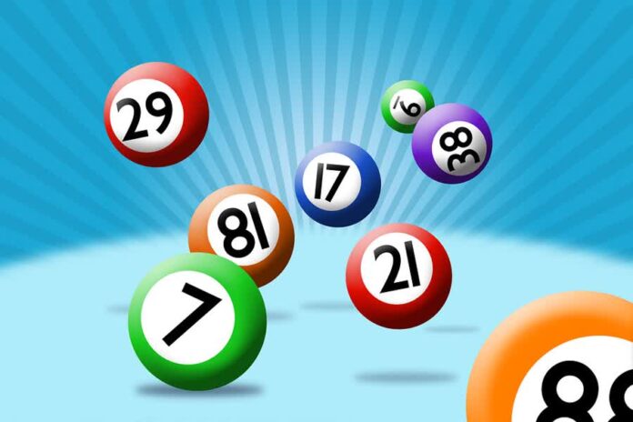 bingo lotto