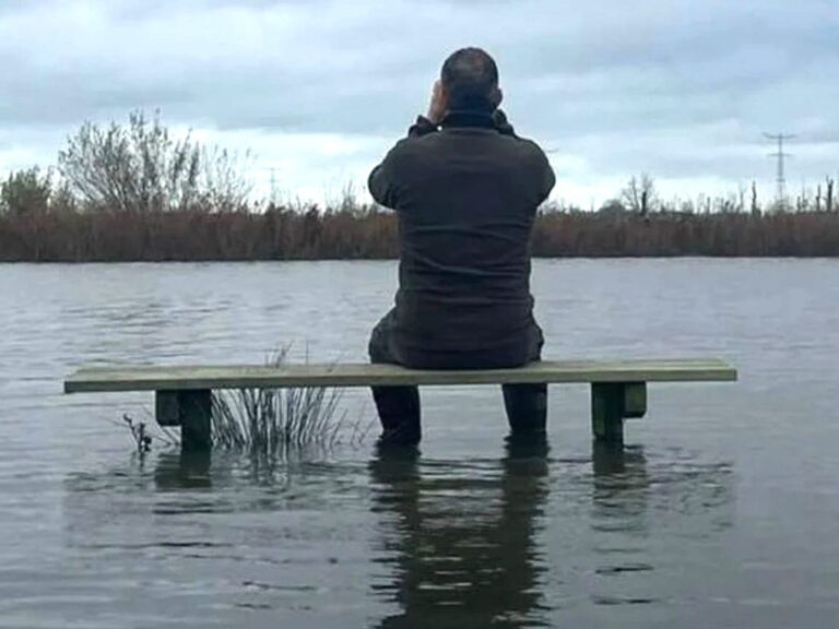 Boswachter Harm geniet: ‘Drie keer hoogwater in twee dagen in de Biesbosch, dat is heel bijzonder!’