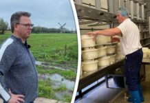 Biokaasboeren André en Nico krabbelen weer op na faillissement, maar voorlopig nog wel zonder koeien