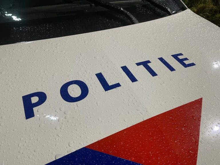 Vrouw onder invloed rijdt auto stuk op A15
