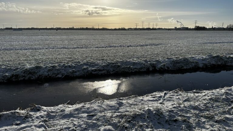 Sneeuw in het Alblasserbos