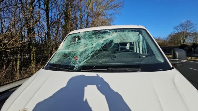 Bestuurder met de schrik vrij nadat boom langs de N3 op zijn bus valt