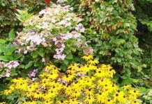 Lezing natuurvriendelijk tuinieren NVWA