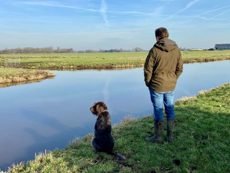 Inwoners Molenlanden zitten niet te wachten op ‘idioot grote’ windmolens in de polder