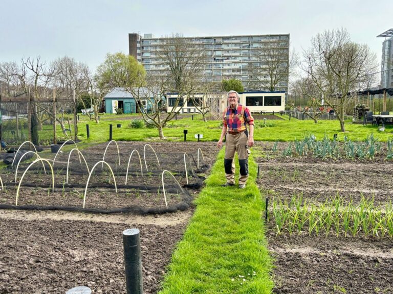Moestuin Sliedrecht verkoopt veel minder groenten door vervuilde PFAS-grond