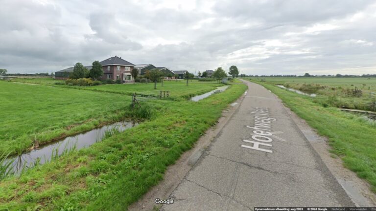 Man rijdt in sloot door overstekende eend
