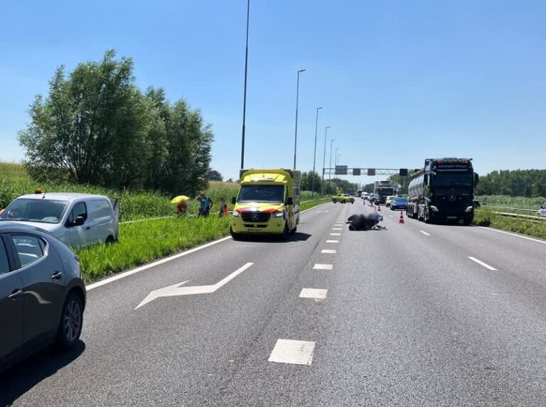 Flinke file op A15 na ongeval met motorrijder