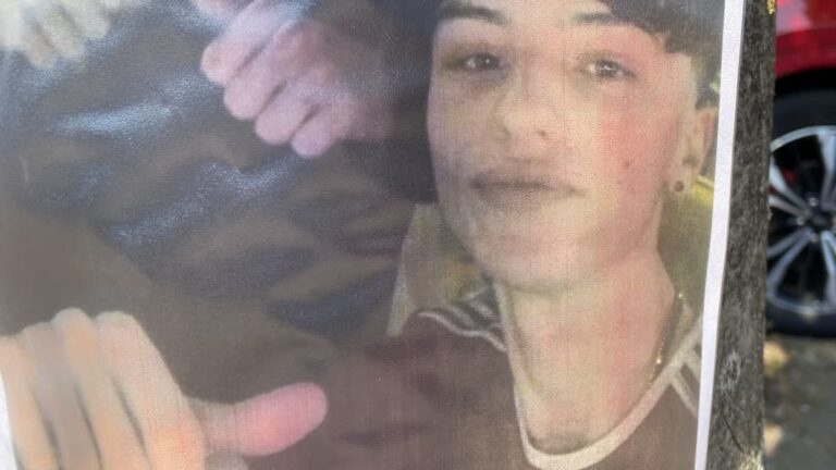 Dodelijke steekpartij: ook vader vrijgelaten, verdachte zoon zou kapot zijn van verdriet