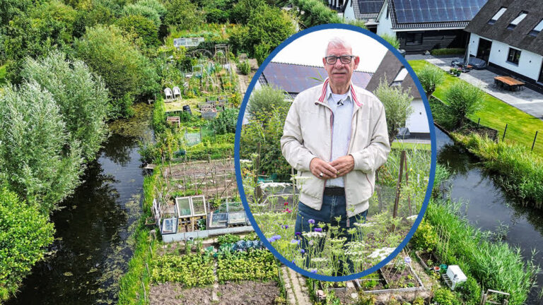 In deze ‘PFAS-moestuinen’ wordt vervuilde grond vervangen: ‘Heel blij mee’