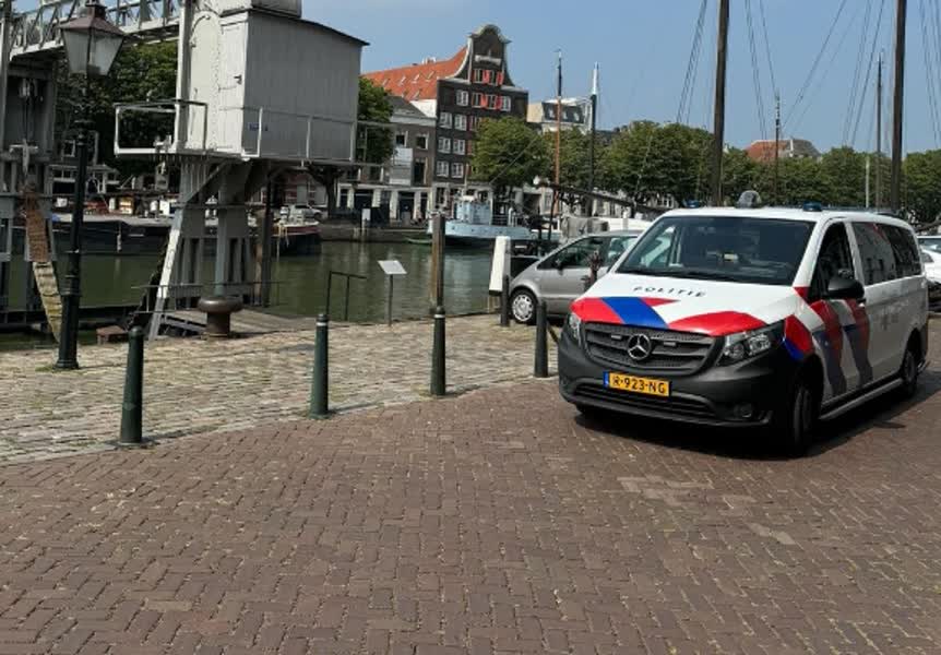 Hond dood na aanrijding in Dordtse binnenstad, verdachte vlucht: UPDATE