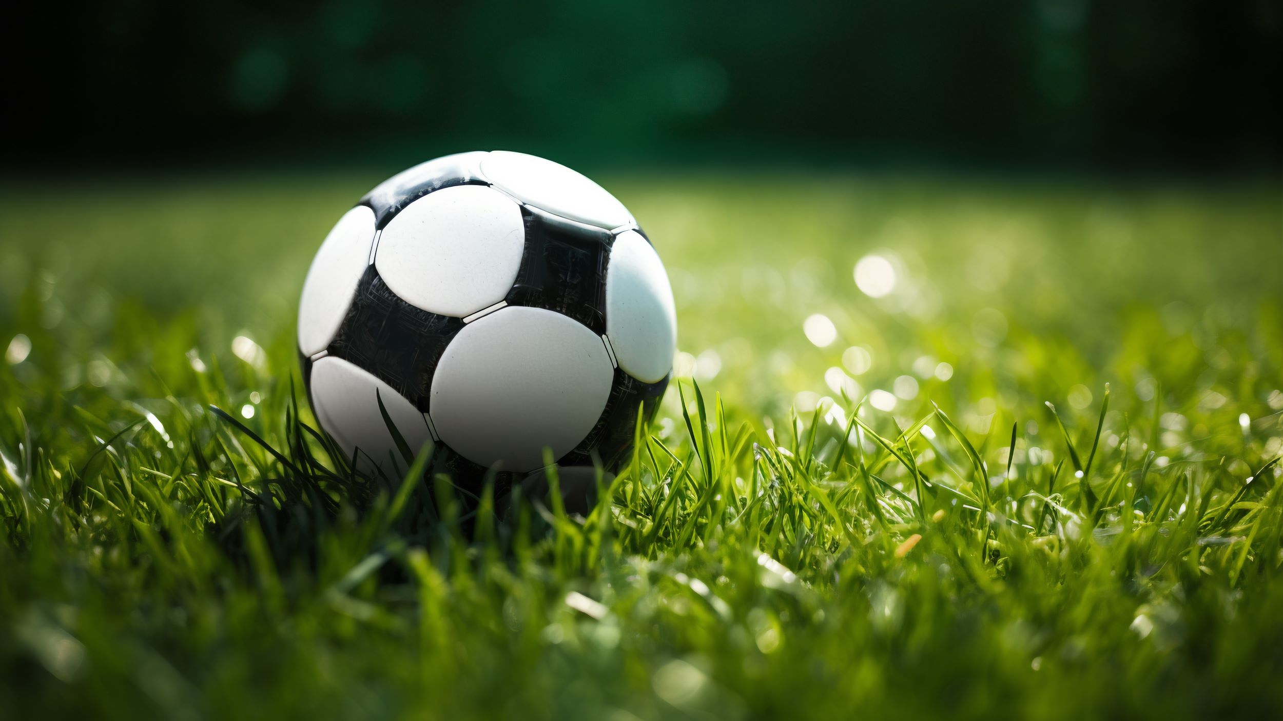 Uitslagen Papendrechts voetbal