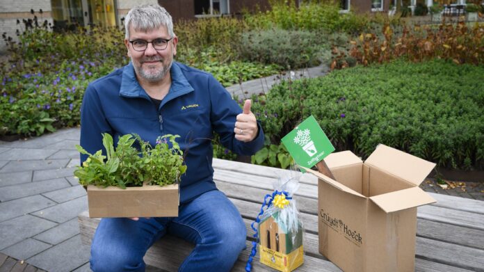 Boomspiegel Plantenpakket
