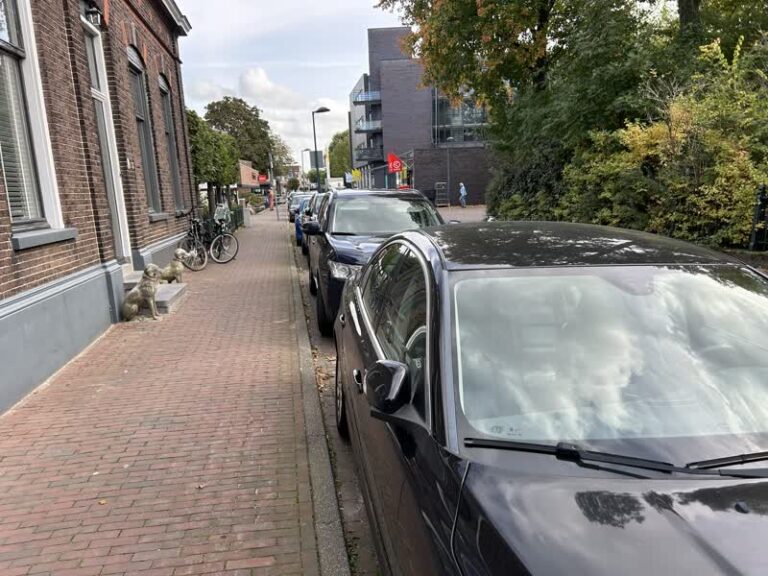Uitbreiding blauwe zone en maatwerk moeten parkeerprobleem Alblasserdam oplossen