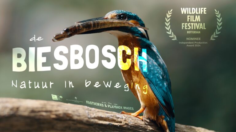 ‘De Biesbosch: Natuur in Beweging’ brengt een uniek natuurgebied van Nederland in beeld