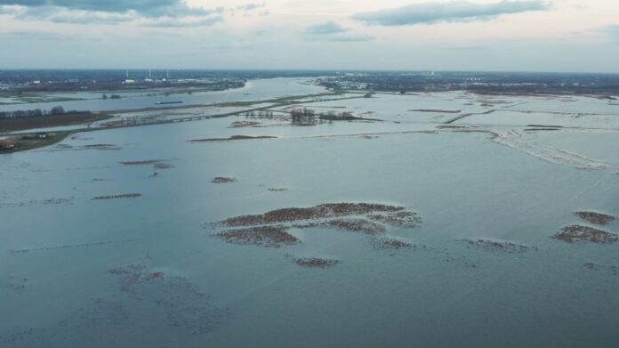 De biesbosch aerial