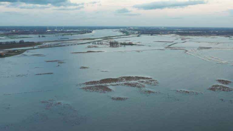 Nachtelijke avonturiers vast in boomhut als het water begint te stijgen