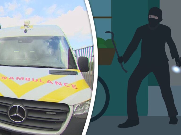 Edwin heeft een doldriest plan: hij gaat een dierenambulance stelen