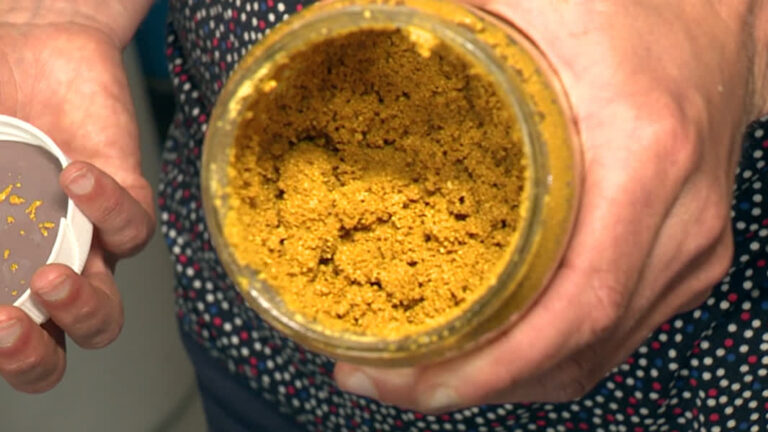 Waterschap test ‘maïsfilter’ in strijd tegen PFAS