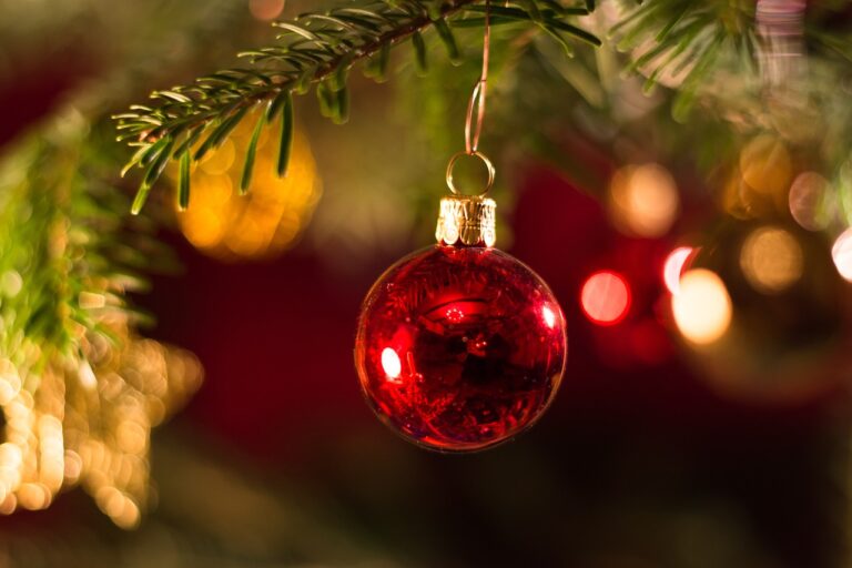 Sterk Papendrecht: ‘Vier de feestdagen SAMEN!’