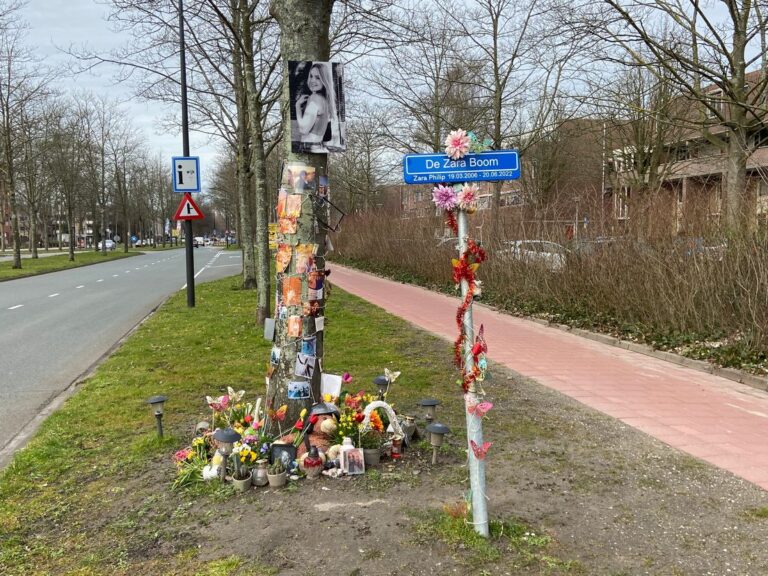 Vier maanden geëist tegen Papendrechter die meisje dood reed