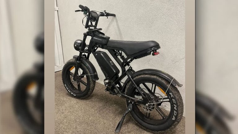 Ruim 20 twintig fatbike-bestuurders op de bon in Dordrecht