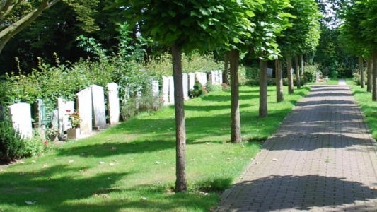 begraafplaats ppd puurppd