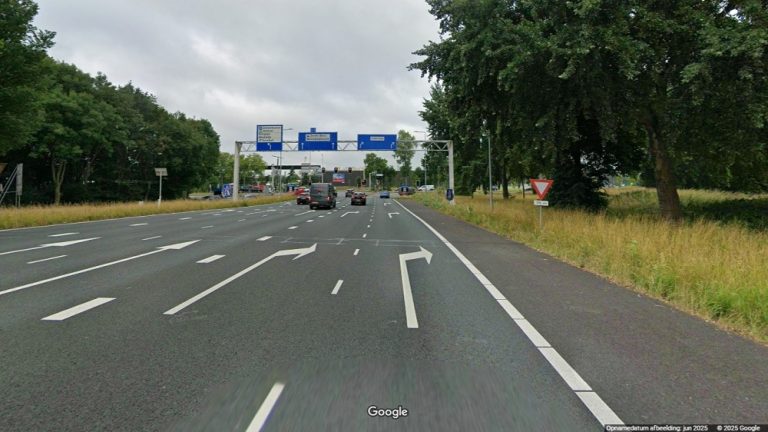 Auto over de kop op afrit, wonder boven wonder zijn bestuurder en hond ongedeerd