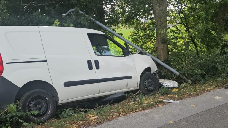 Bestelbusje botst op lantaarnpaal
