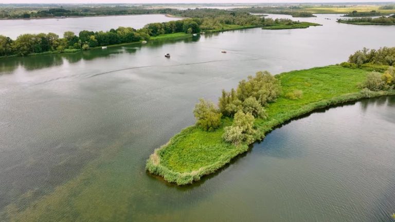 Fotografen in nood waren op ‘verboden terrein’, Staatsbosbeheer niet blij