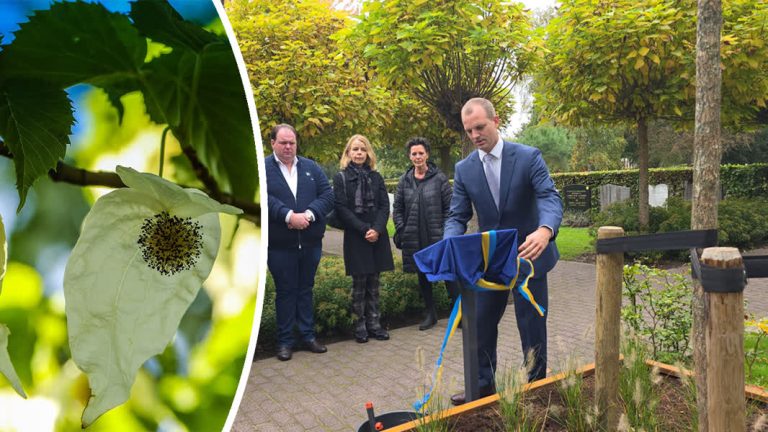 ‘Zakdoekenboom’ onthuld ter nagedachtenis aan ongeboren kinderen (Video)