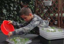 Tuinier Luka (10) gaat op voor prijs: ‘Groente is veel lekkerder als je het zelf verbouwt’ (video)