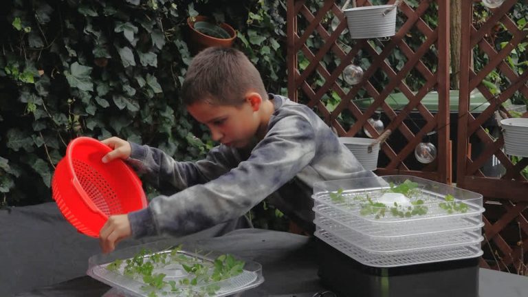 Tuinier Luka (10) valt buiten de prijzen