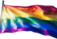 Vandalen zagen mast regenboogvlag om in Alblasserdam; vlag wappert toch
