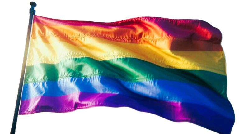 Vandalen zagen mast regenboogvlag om in Alblasserdam; vlag wappert toch