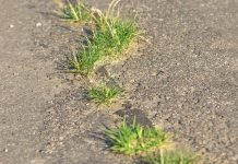 Kwaliteit Papendrechtse wegen slechter dan gedacht