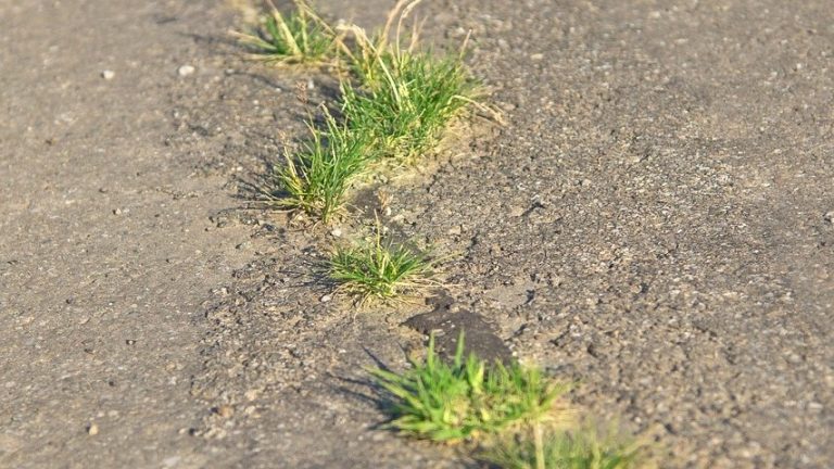 Kwaliteit Papendrechtse wegen slechter dan gedacht