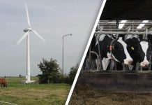 Kleine windmolen op eigen erf om zelf stroom op te wekken: ‘Extra stap in de goede richting’ (Video)