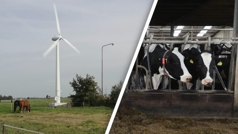 Kleine windmolen op eigen erf om zelf stroom op te wekken: ‘Extra stap in de goede richting’ (Video)