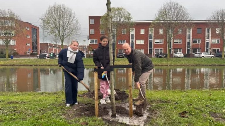 Deze kinderen planten bomen: ‘Leren hoe belangrijk groen in de buurt is’ (Video)