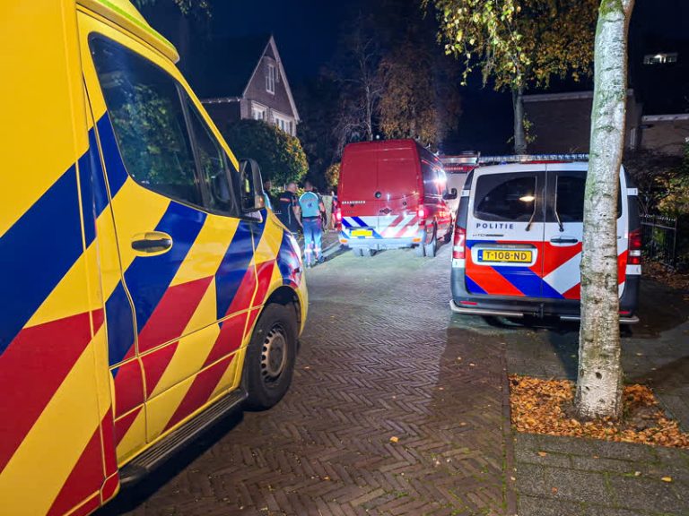 Man zoekt Pokémon in park, maar valt in de sloot (Video)