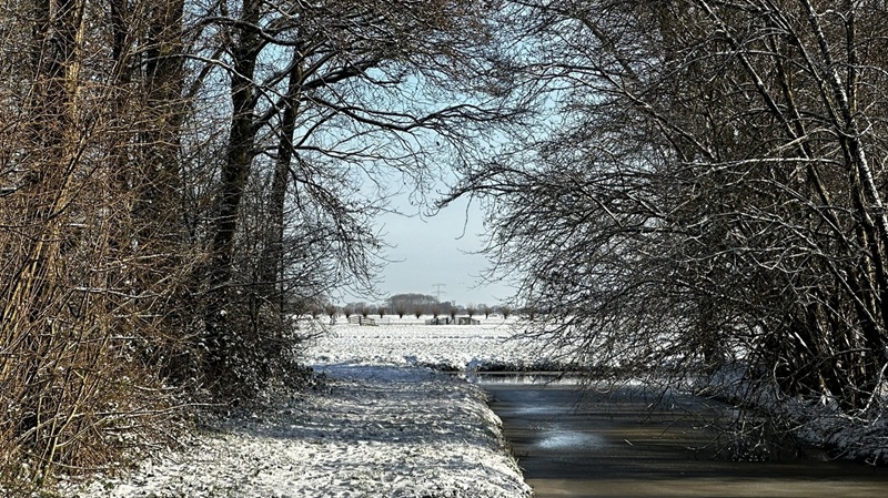 Winterwandeling door het Alblasserbos