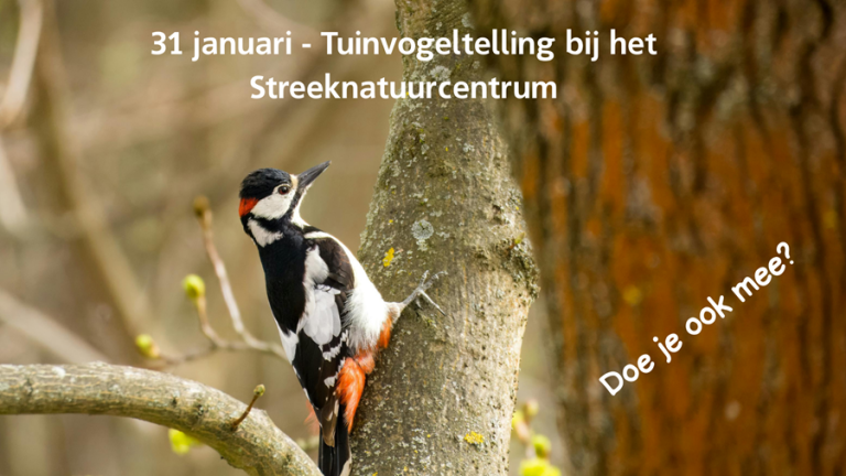 Vogels tellen bij Streeknatuurcentrum