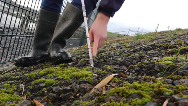 Waterschap zoekt nieuwe vrijwillige dijkwachten in onze streek (Video)