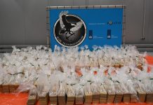 Sliedrechter vast voor grootste drugsvangst ooit