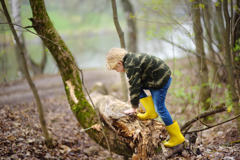 Voorjaarsvakantie-activiteit: struinen door het Alblasserbos